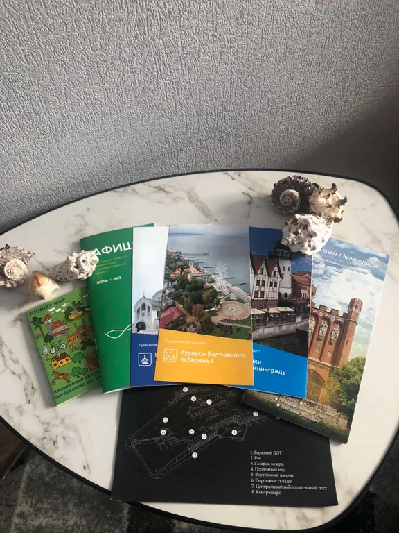 Квартира Апартаменты уютные — Светлогорск