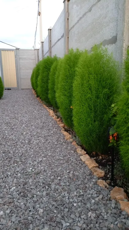 Уютный трёхместный номер на Фиоленте