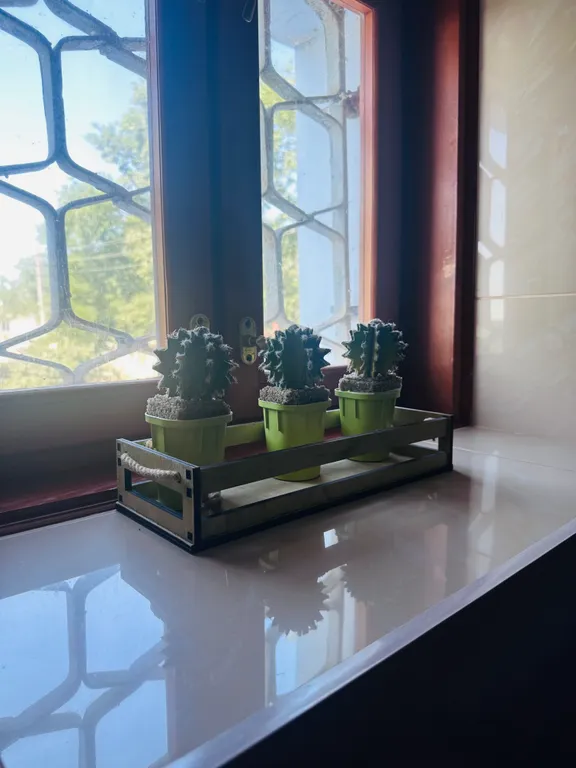 Континент - загородный оазис