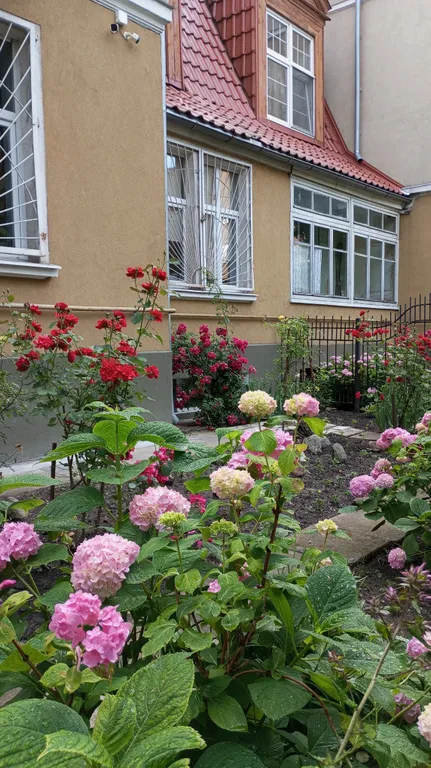 Квартира Квартира Апартамент в старинном особняке в историческом центре — Калининград