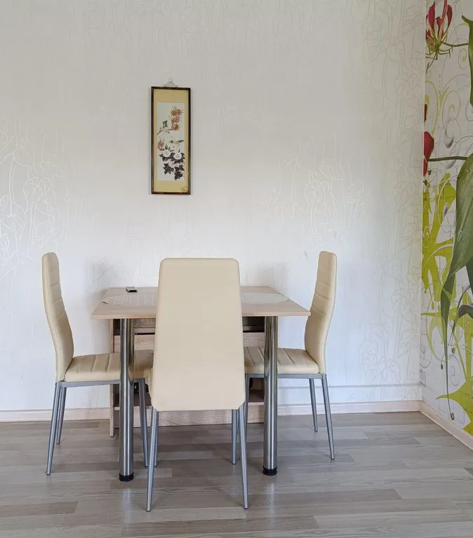 Просторная и светлая квартира - студия