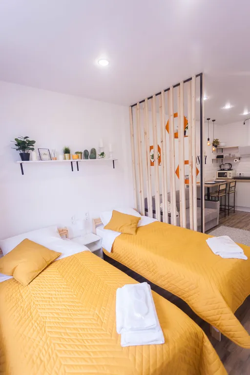 Уютная студия в 5 минутах от ИМР