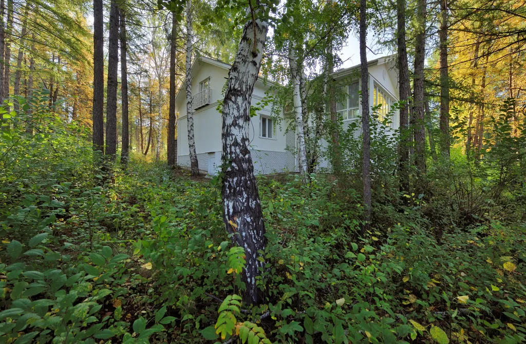 Дом у озера Банное