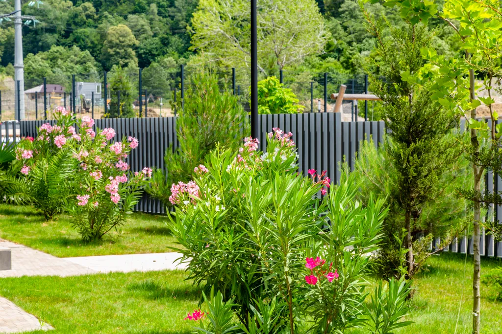 Комфортная студия