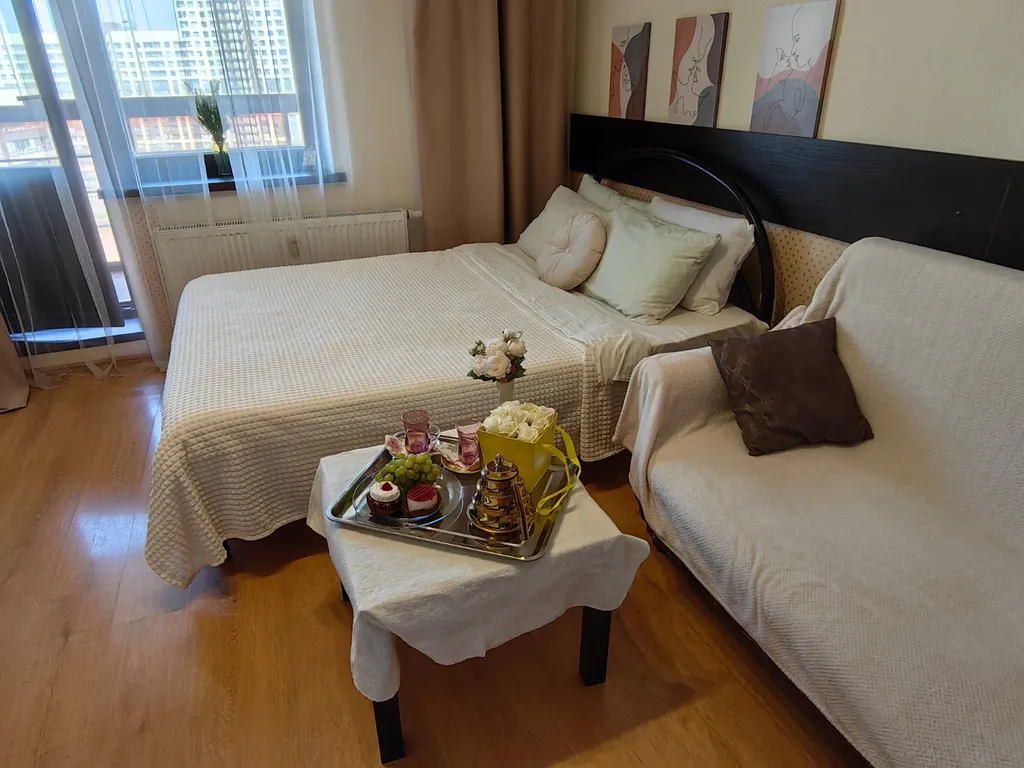 Уютная видовая студия у метро