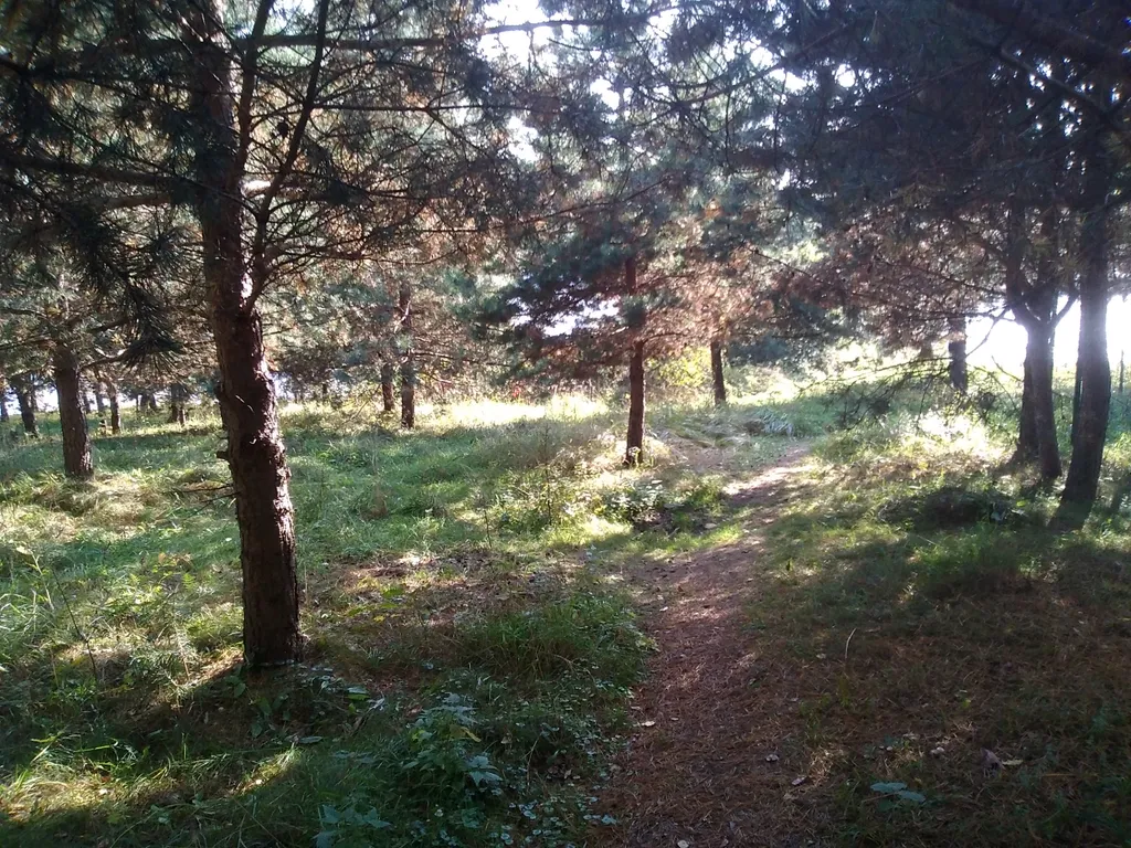 Коттедж Уютный домик на берегу водохранилища — Чиверёво