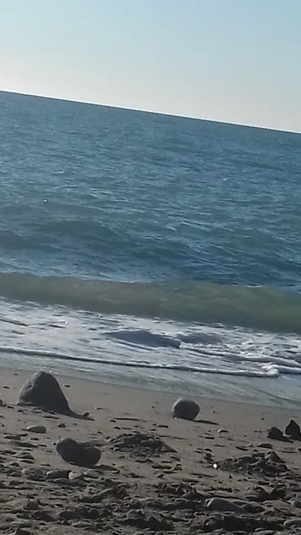 Студия у моря