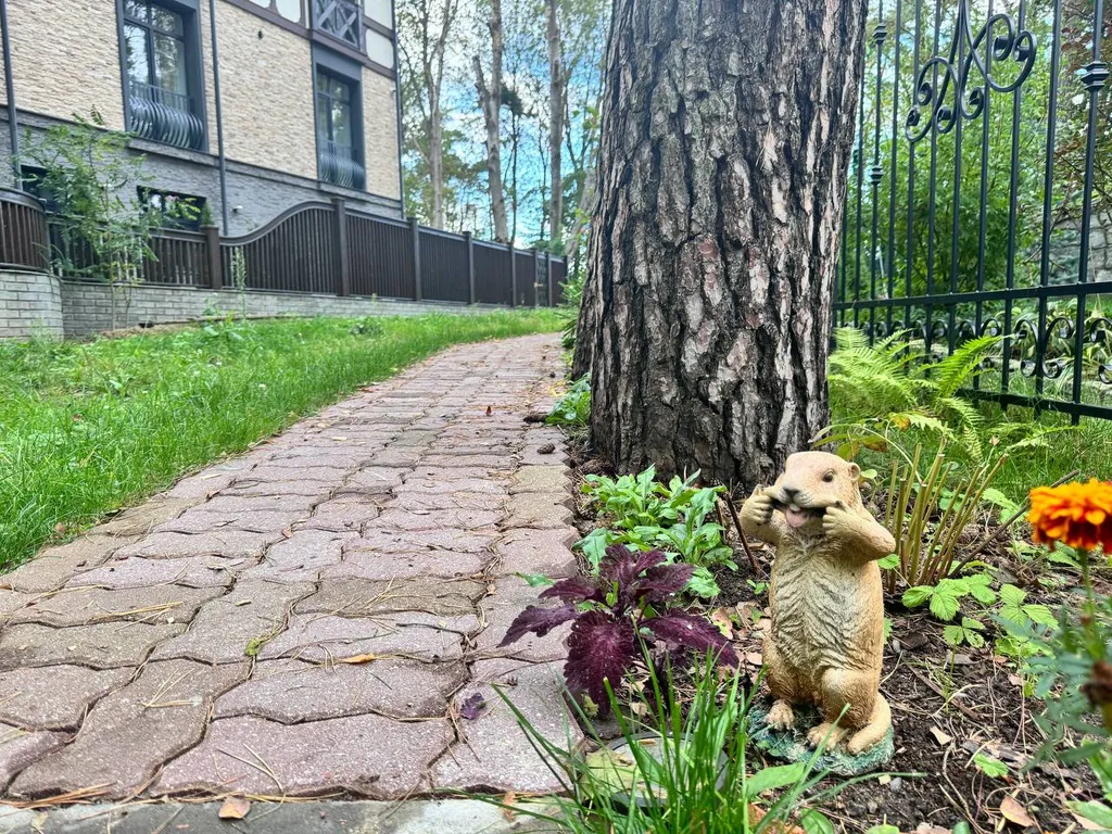 Квартира Апартаменты на первой линии моря с зоной барбекю — Светлогорск