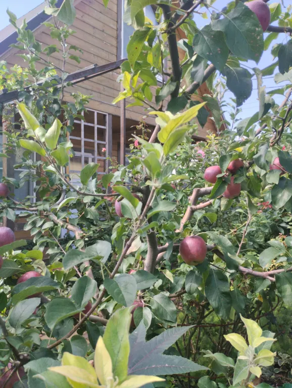 Тихое, спокойное место