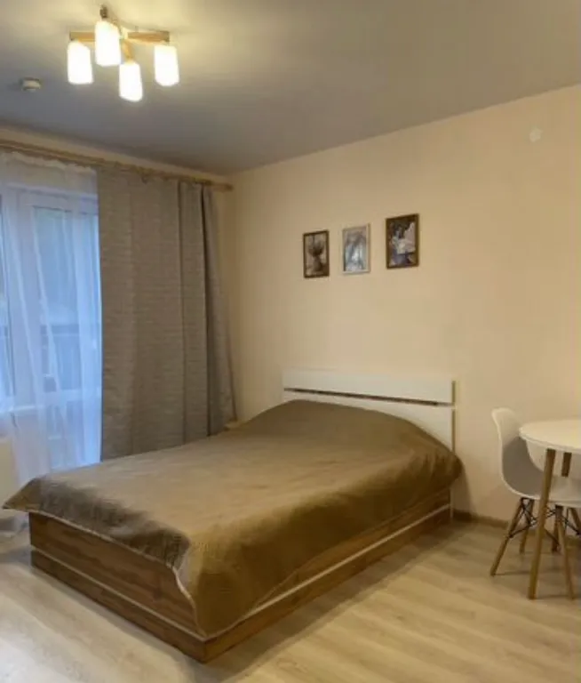 1-комнатная в Кировском районе