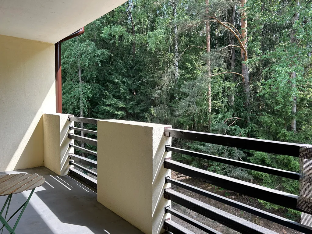 Студия с видом на лес