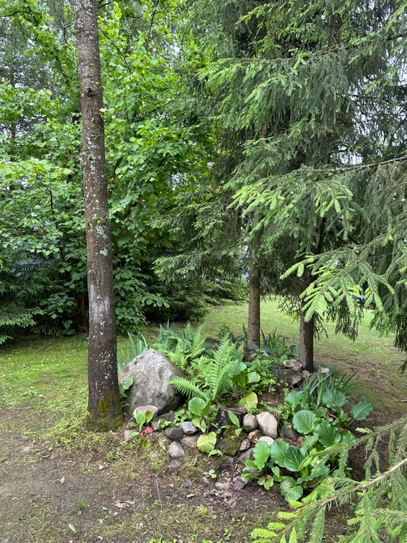 Шале с русской баней Релакс