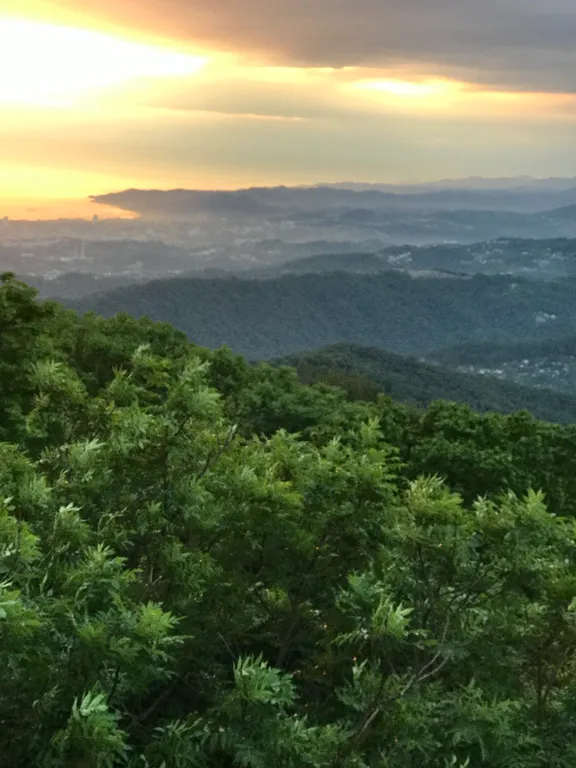 Таунхаус в самом лучшем районе