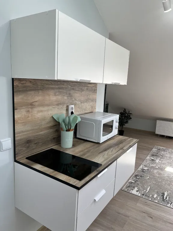 Квартира Квартира Душевная студия - мансарда в центре Ломоносова — Ломоносов