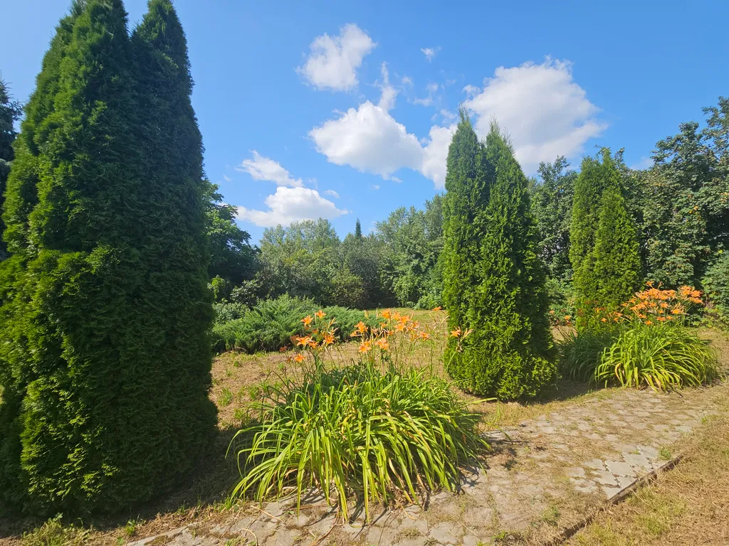 Большой дом в черте города