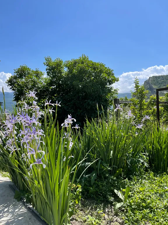 Дом в горах