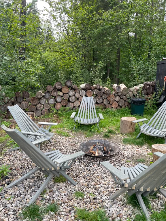 Уютный дом в тишине хвойного леса