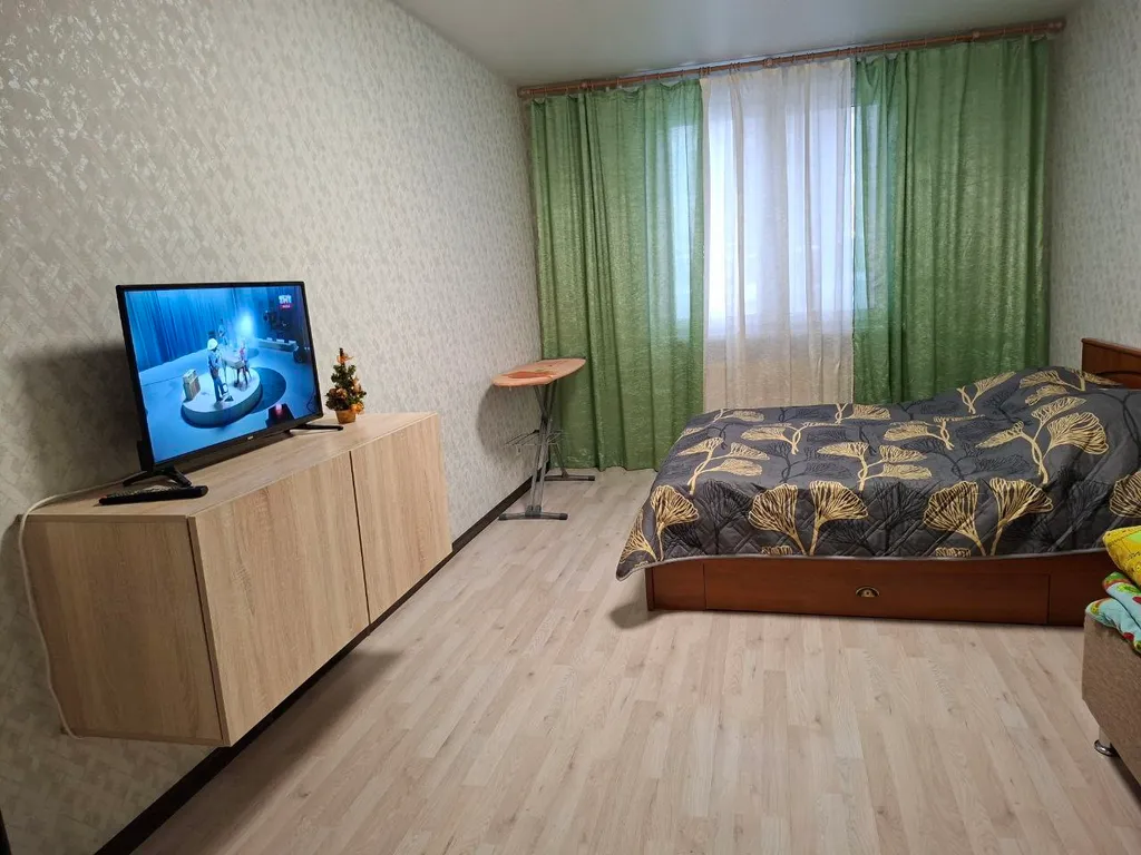 Просторная квартира на новогодние праздники