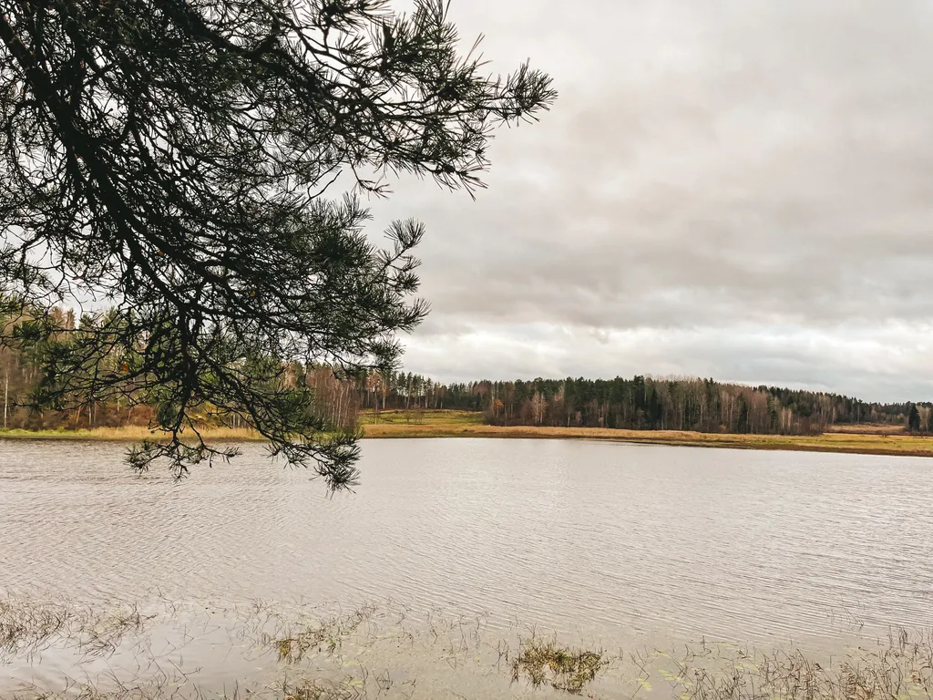 Дом на берегу залива Мусталанлахти