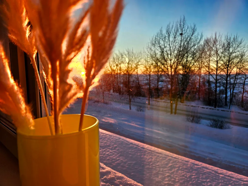 Уютная квартира у Звёздочки