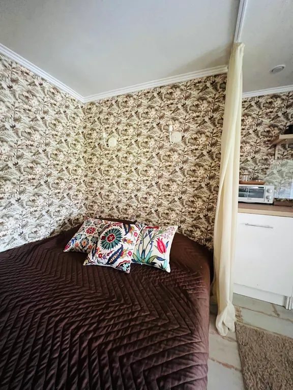 Уютная студия с выходом в сад