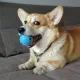 Мила