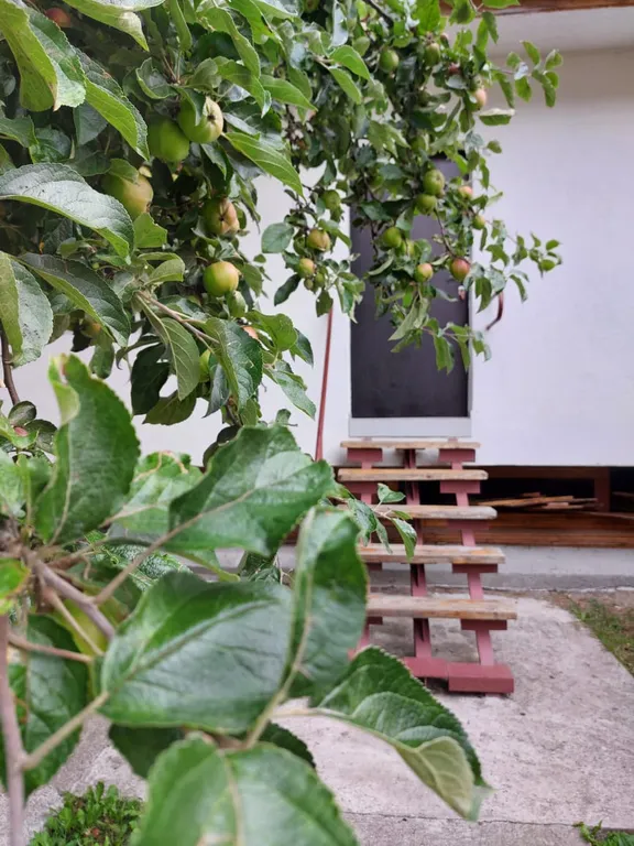 Уютная квартира в центре Пионерского на 6 человек