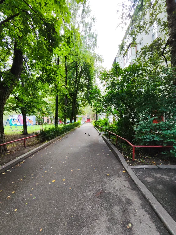 Green House в самом центре города