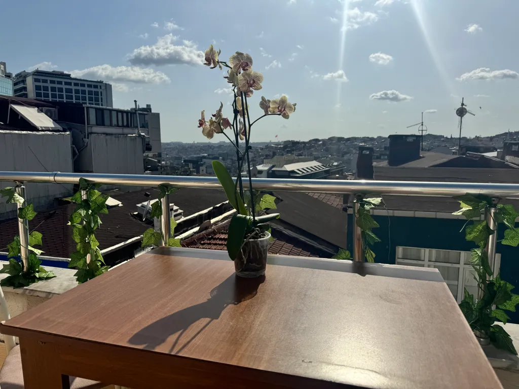 Апартаменты с видом на город