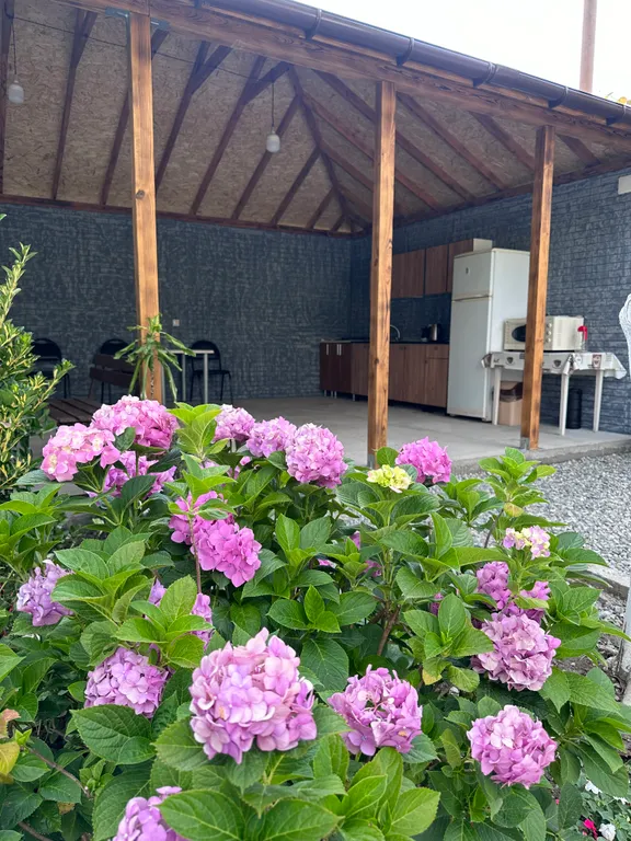 Частный сектор