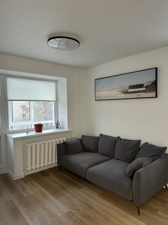 Уютная однокомнатная квартира