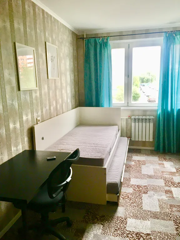 Евротрешка возле Крокус Экспо у моста к метро Мякинино