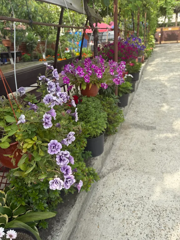 BoxHouse Апартамент 2-местный