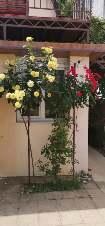 Двухэтажный номер голубой