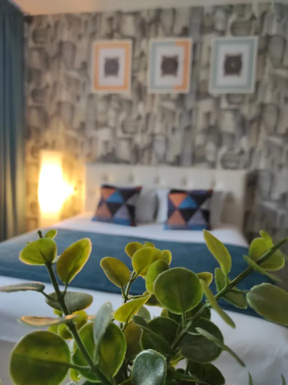 Квартира Уютная студия недалеко от центра — аренда посуточно в Ногинск