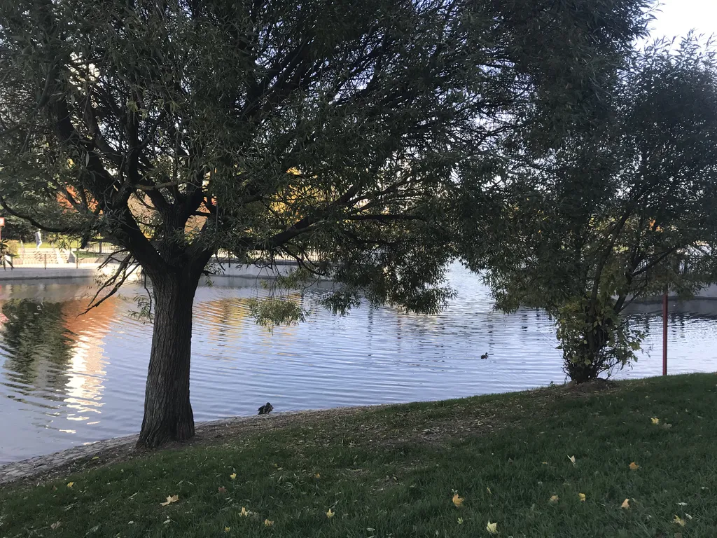 Маленькая студия у библиотеки