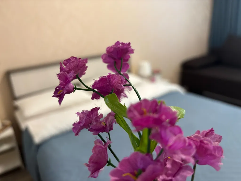 Огни города | Квартирный вопрос