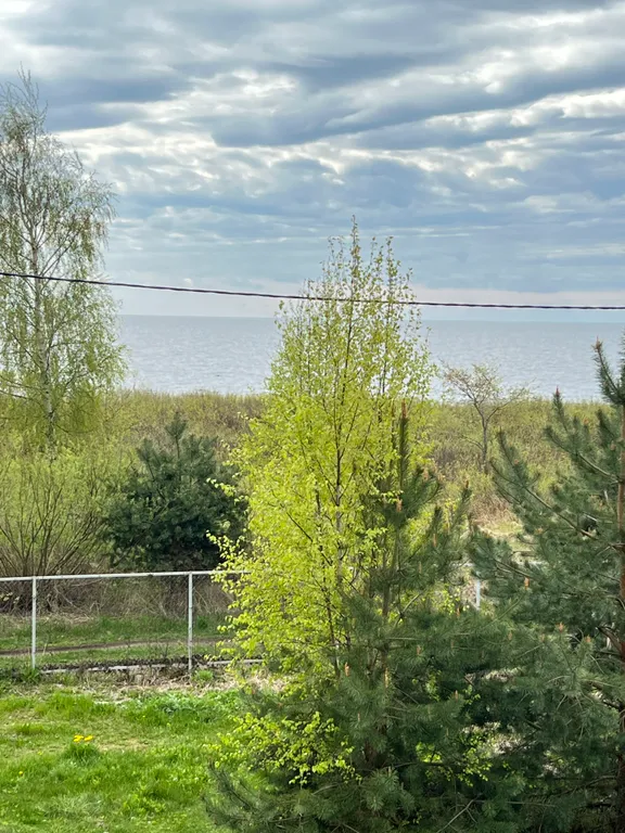 Дом на озере Ильмень