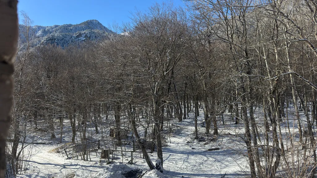 Семейная квартира с видом на горы