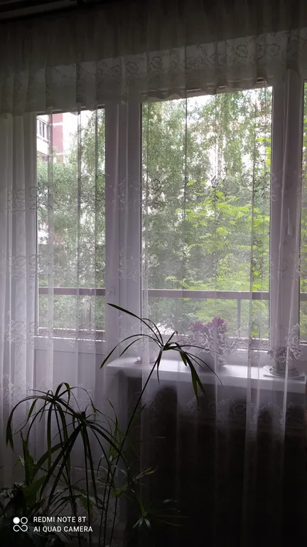 Квартира 1-комнатная Квартира — Санкт-Петербург