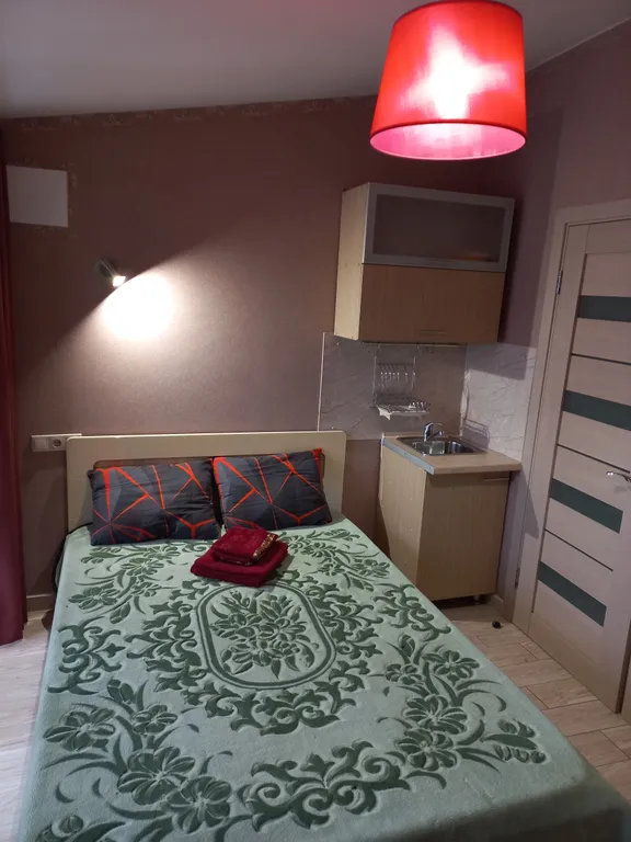 Квартира 1-комнатная Квартира — Сириус