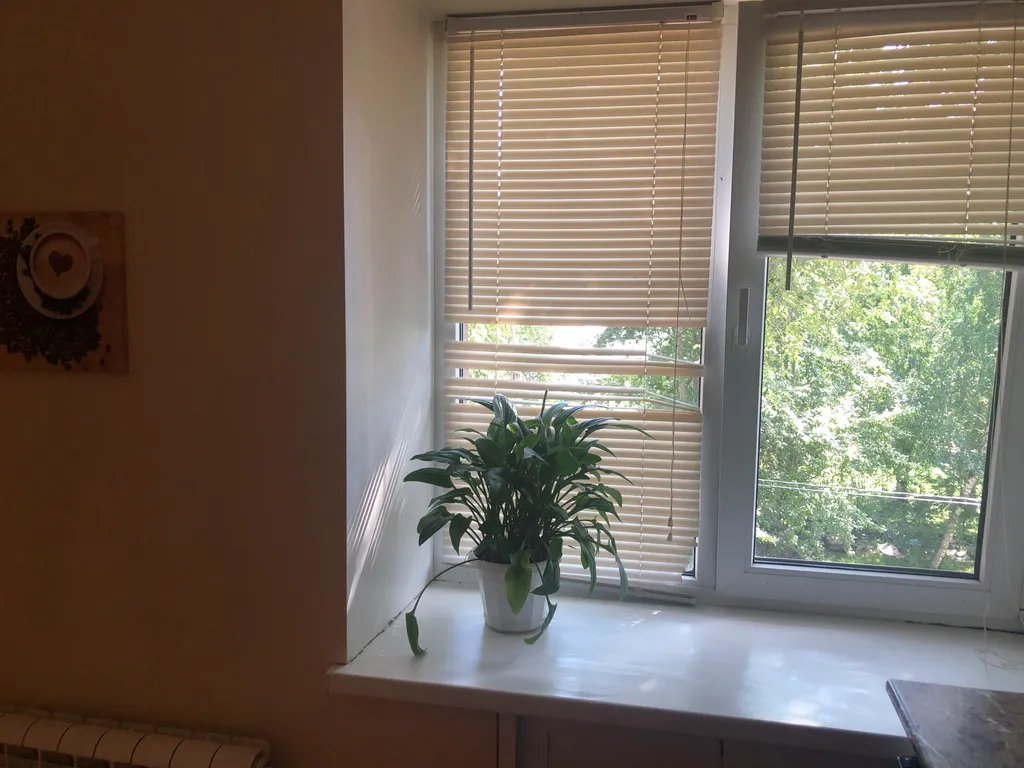 Квартира рядом с парком аттракционов