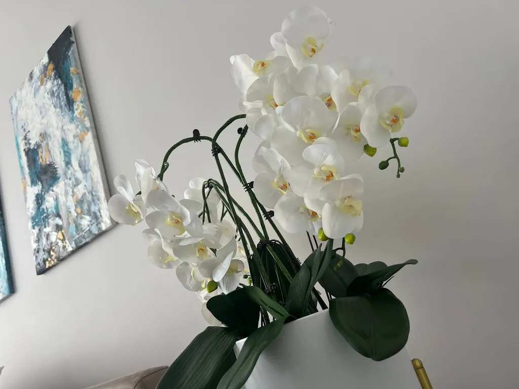 Люкс в сердце города