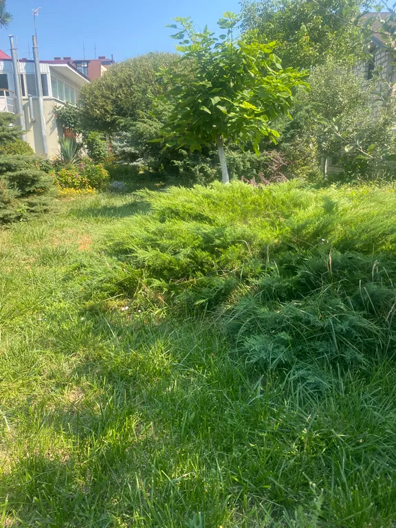 С бассейном рядом с морем