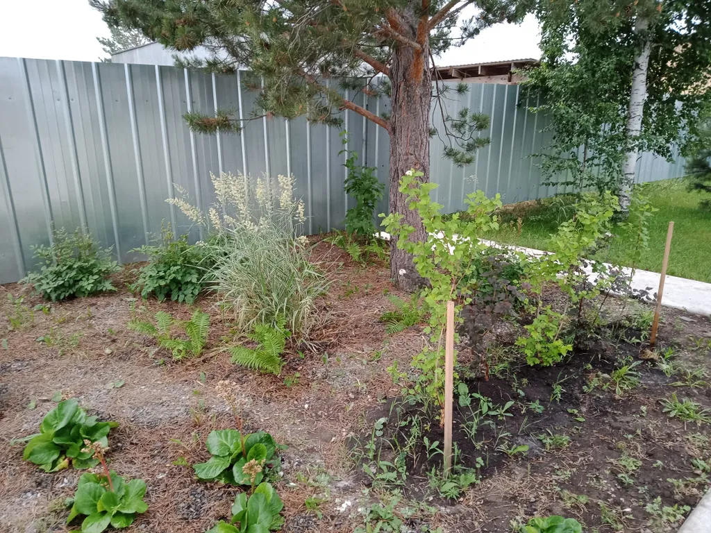 Коттедж Уютный дом с верандой Муравушка — Горный Щит