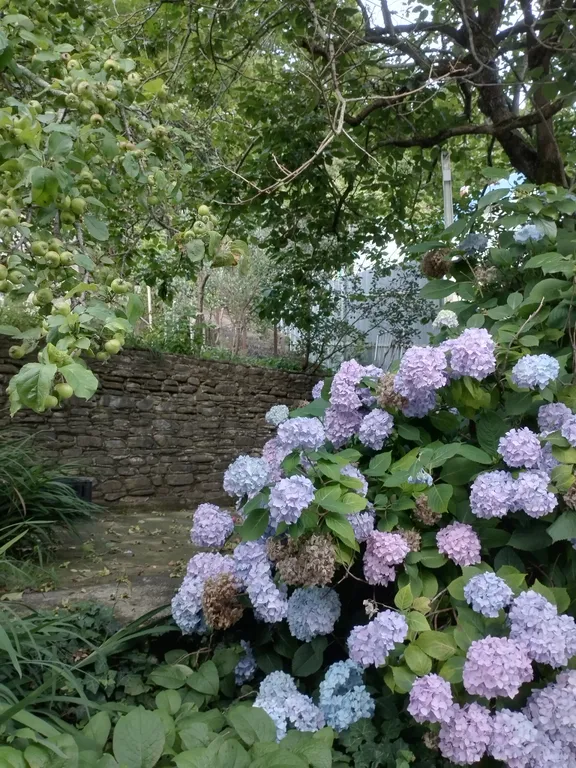 Уютный дом с видом на горы