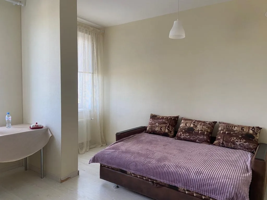 Студия с красивым видом из окна