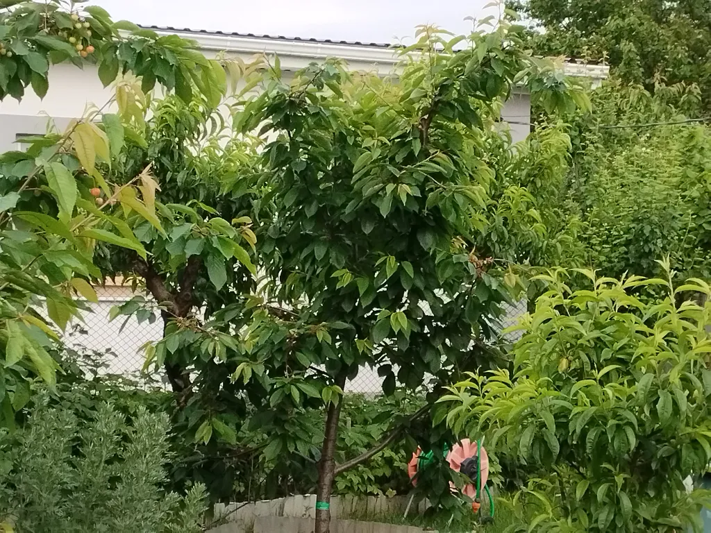 Семейный 3-х комнатный номер в тихом районе