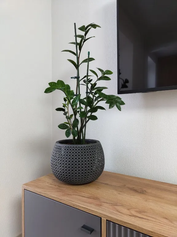 Свeтлая совремeнная квартирa в центpе гоpoдa