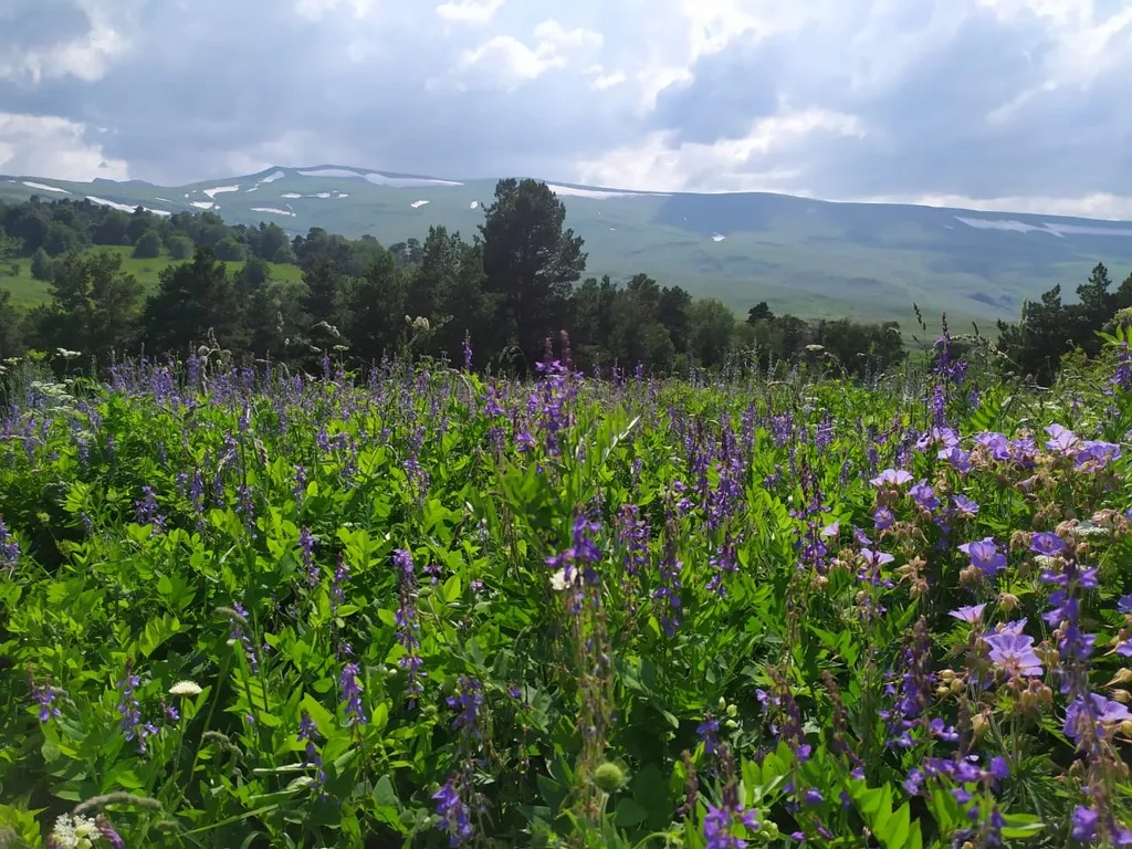 Дом у горной реки